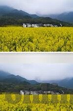 糖心app封面-探索多彩应用世界的甜蜜视角，糖心APP封面的艺术魅力
